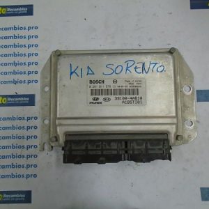 CENTRALITA MOTOR UCE KIA SORENTO 0281011579 39100-4A810 391004A810