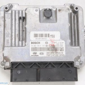 Centralita del motor Hyundai Matrix 391032A315 0281013143