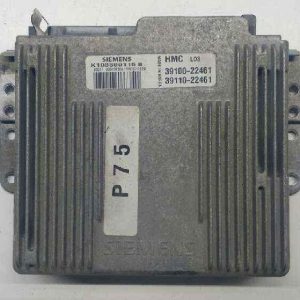3910022461